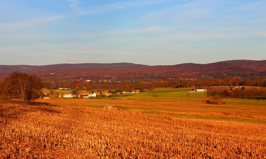 November Afternoon, South Mountain Near Boonsboro, Marylan… Flickr
