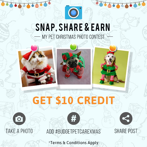 BudgetPetCare Christmas Contest Let's Play and Win. 10 Cr… Flickr