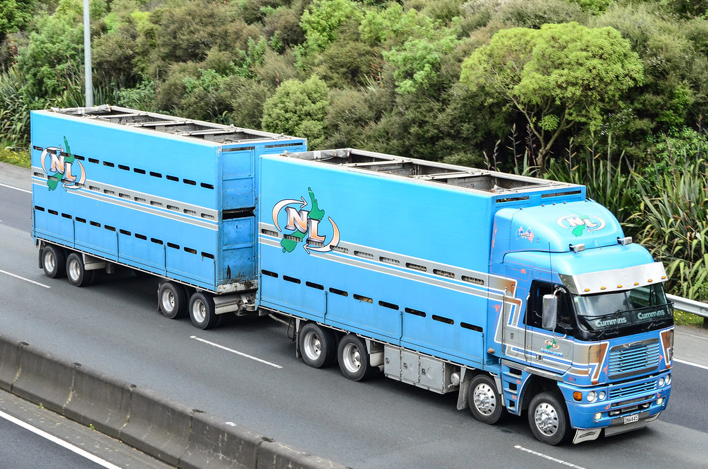 Argosy, Nationwide Livestock Bombay hills, Nr Auckland. 13… Flickr