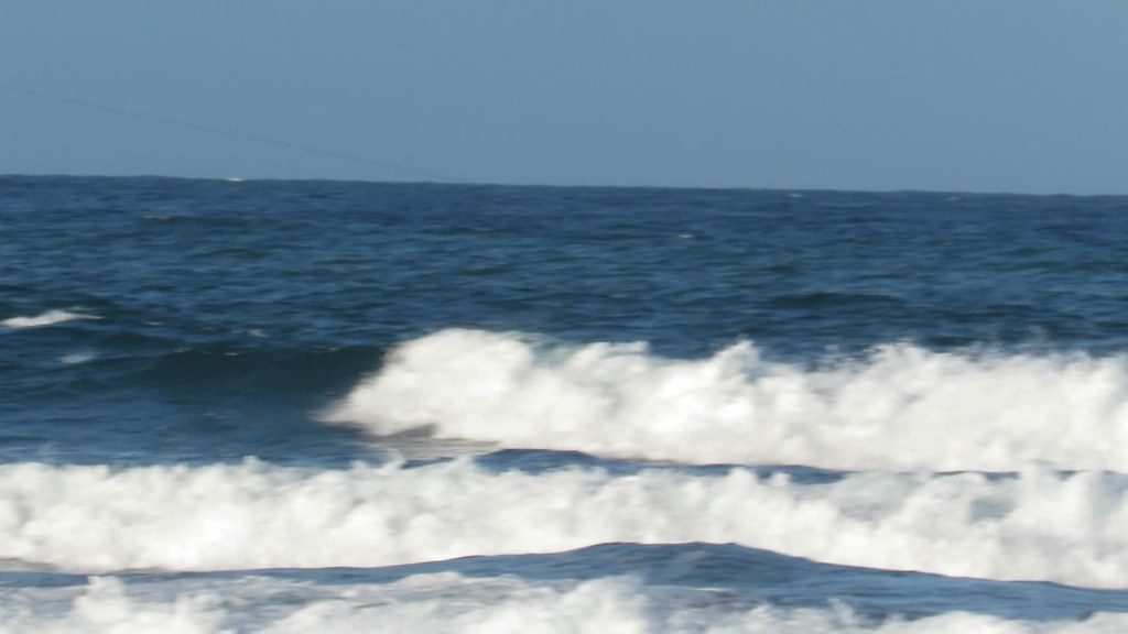 Bode Jess Abby and Mike Paukukalo 12272018 Pedro Robalinho Flickr