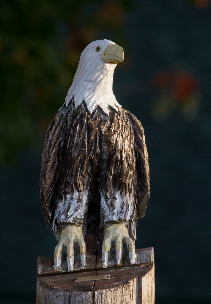 Bald eagle carving Ontonagon, MI Bill Flickr
