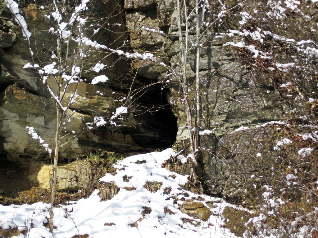 Paleokarst in limestone (St. Louis Limestone, Middle Mississippian