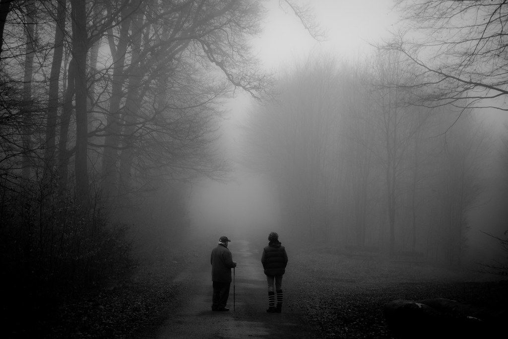 foggy day b&w a photo on Flickriver