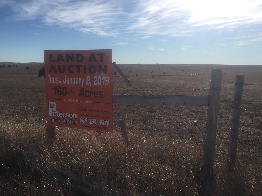 Listings & Auctions Peterson Land & Auction South Central