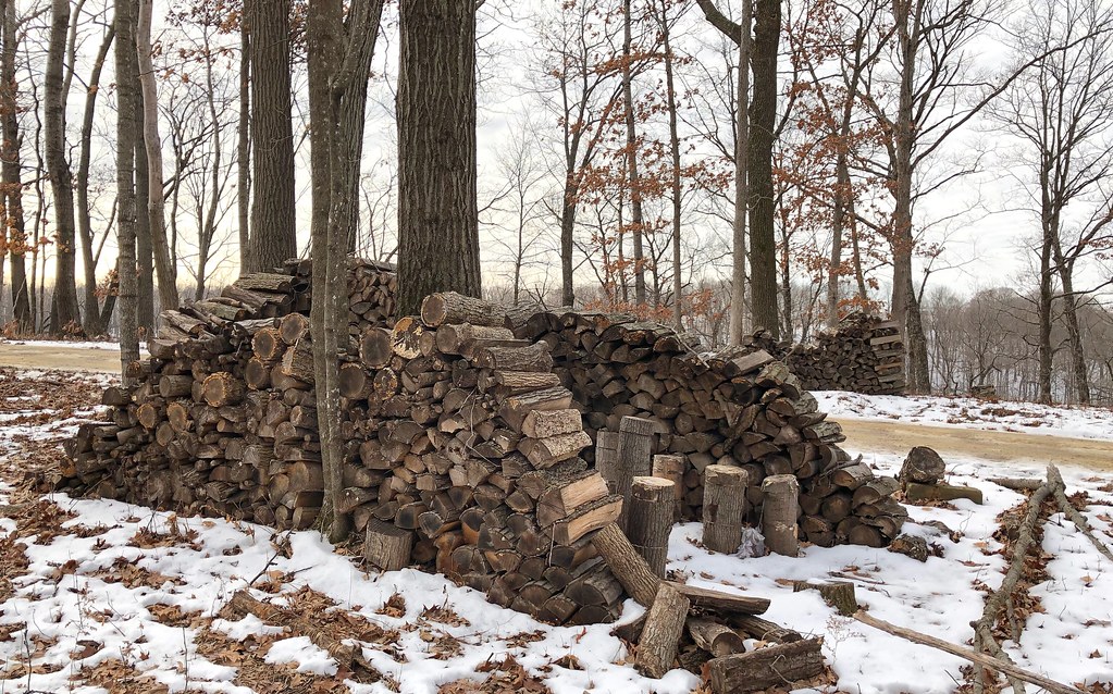 Four wood piles Of many more wood piles nearby on the this… Flickr