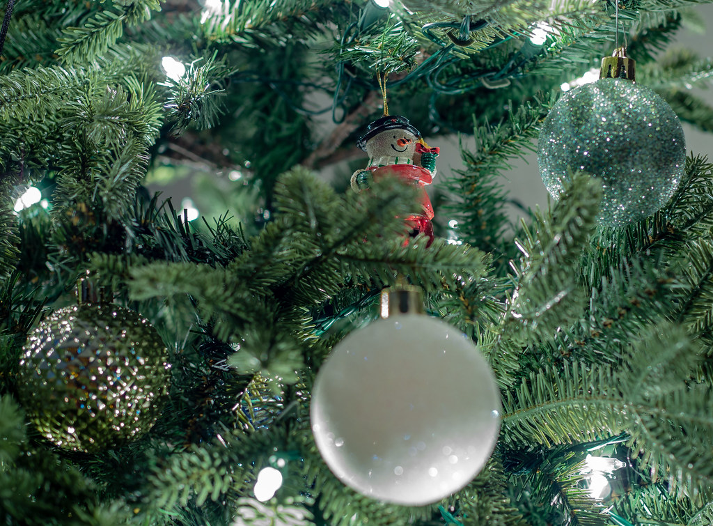 Christmas Tree Macro Dec 16 2018 00037 Christmas Tree Macr… Kelly