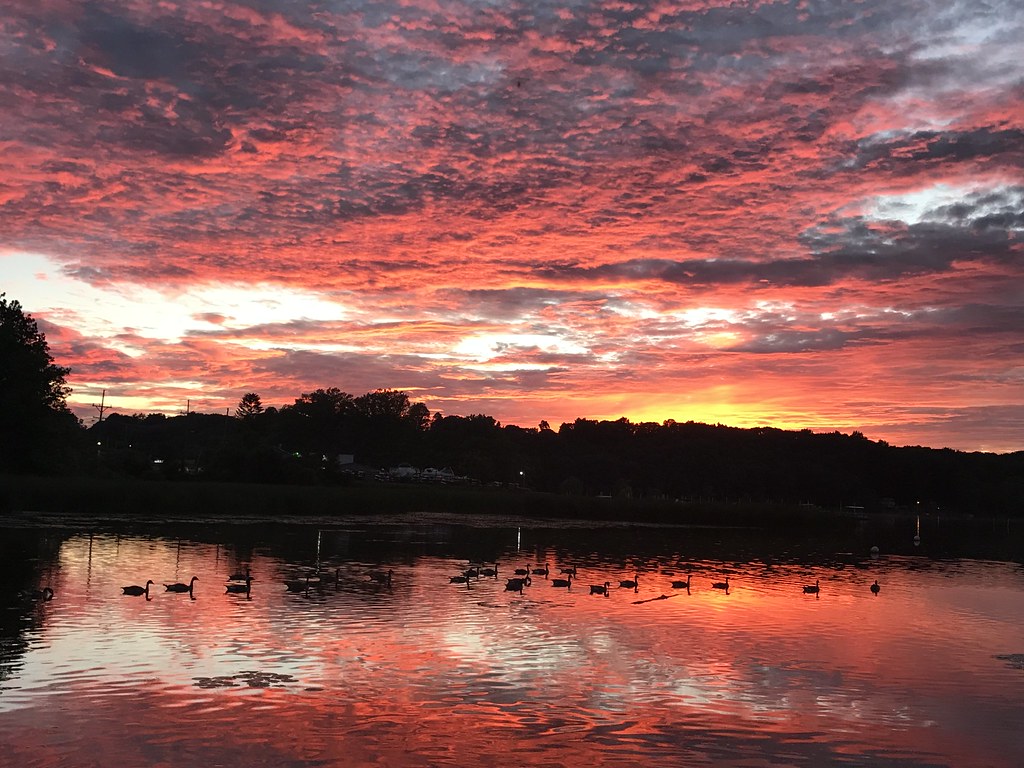 Sunset on irondequoit bay, NY The geese on the bay at suns… Flickr