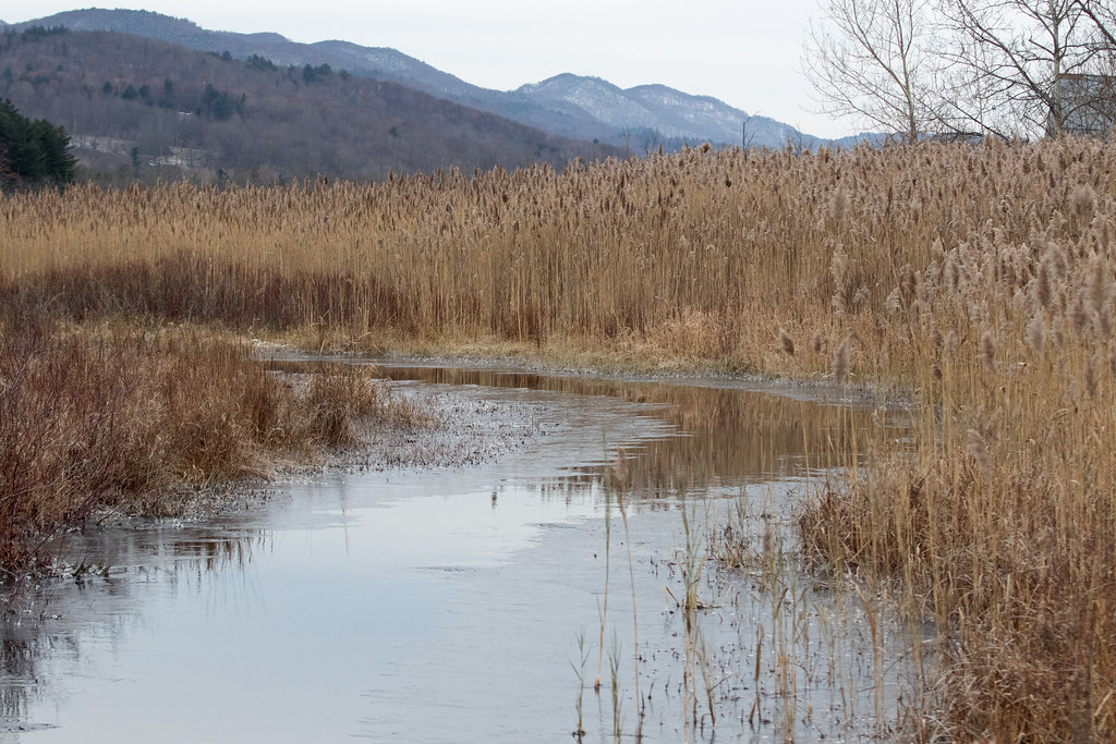 2510 castleton River, West Rutland Marsh Castleton River, … Flickr