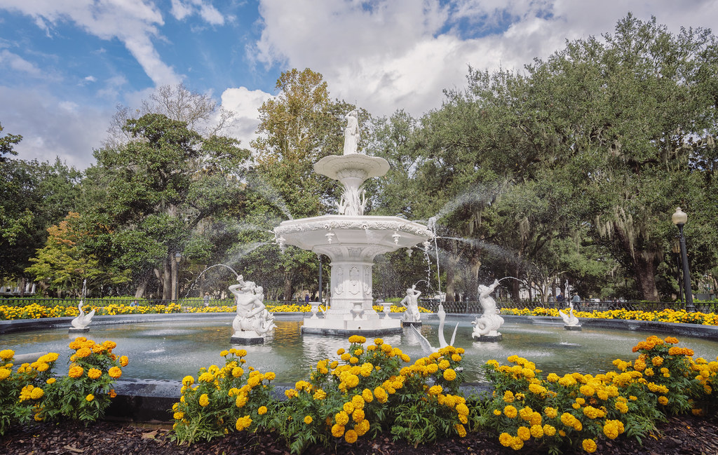 Morning Walk in Savannah Photo by Jonmikel JM & K2 Flickr