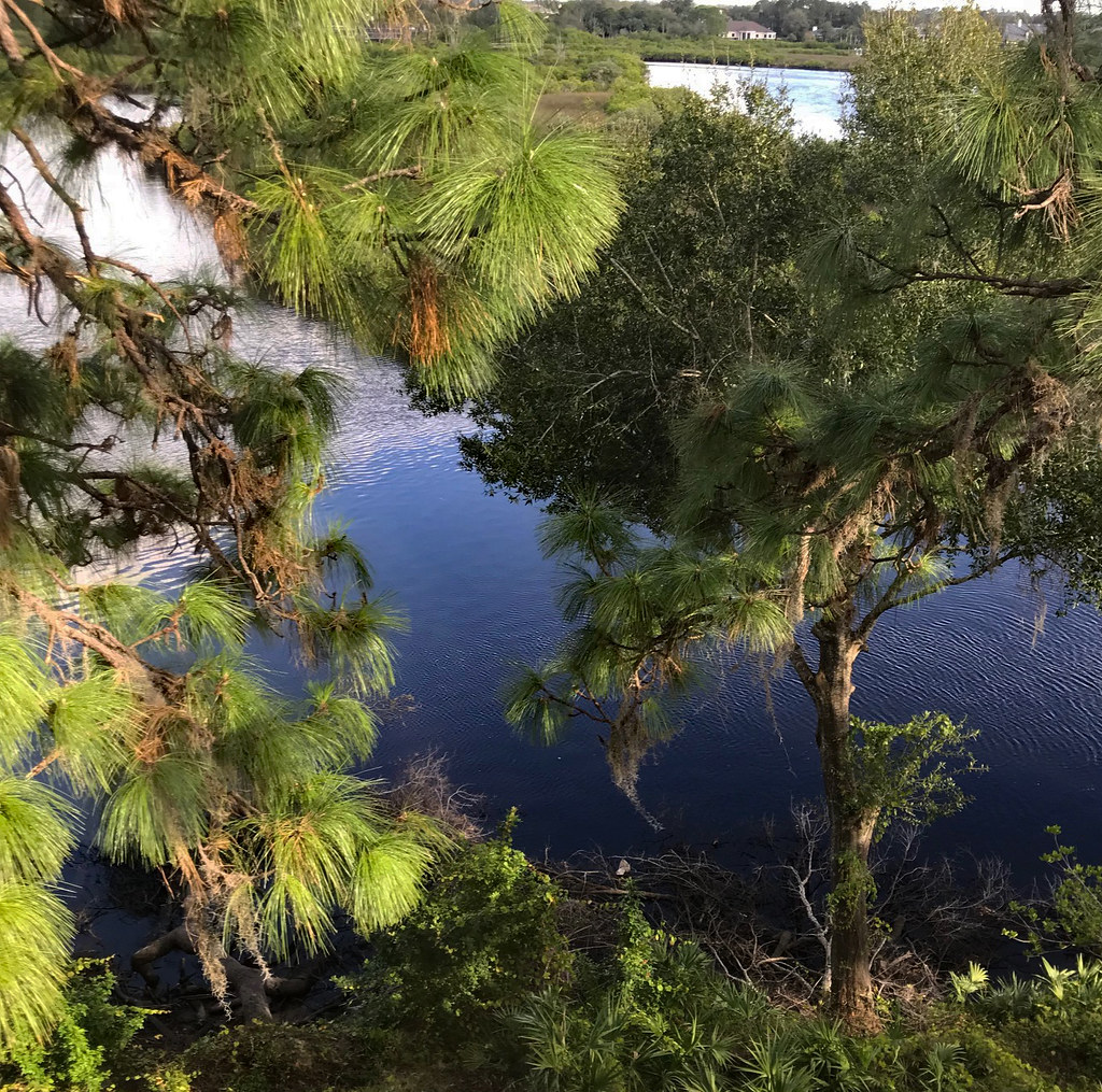 Elevation of Starkey Ranch District Park, Lake Blanche Dr, Odessa, FL