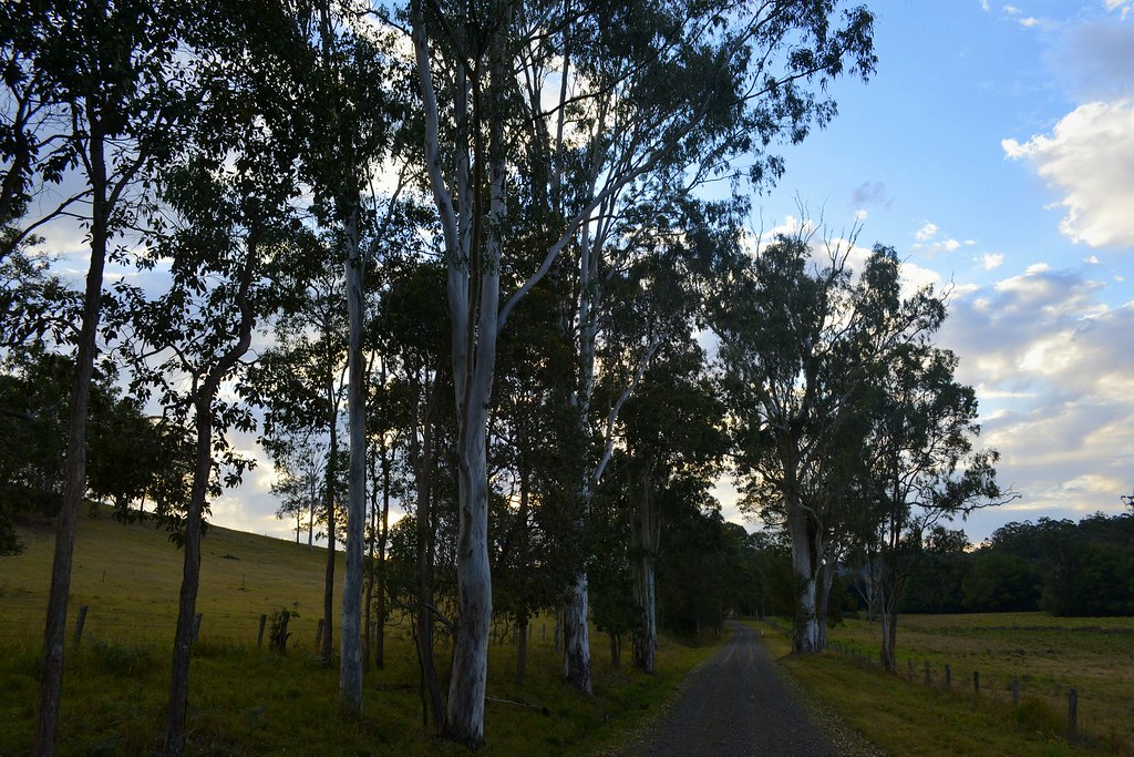 Back Creek Road Bentley NSW AU dustaway Flickr