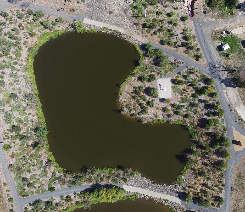 Gleeson Wetlands 20161221_23cs A record photo of the veget… Flickr