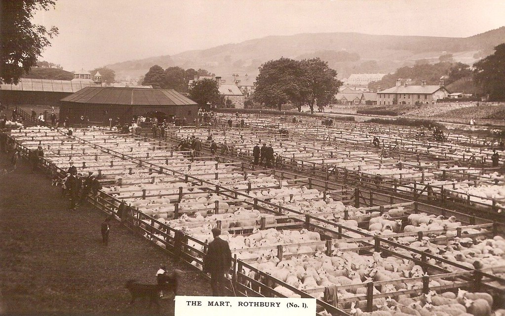 Rothbury, The Mart, c.1911 The Auction Mart at Rothbury, a… Flickr