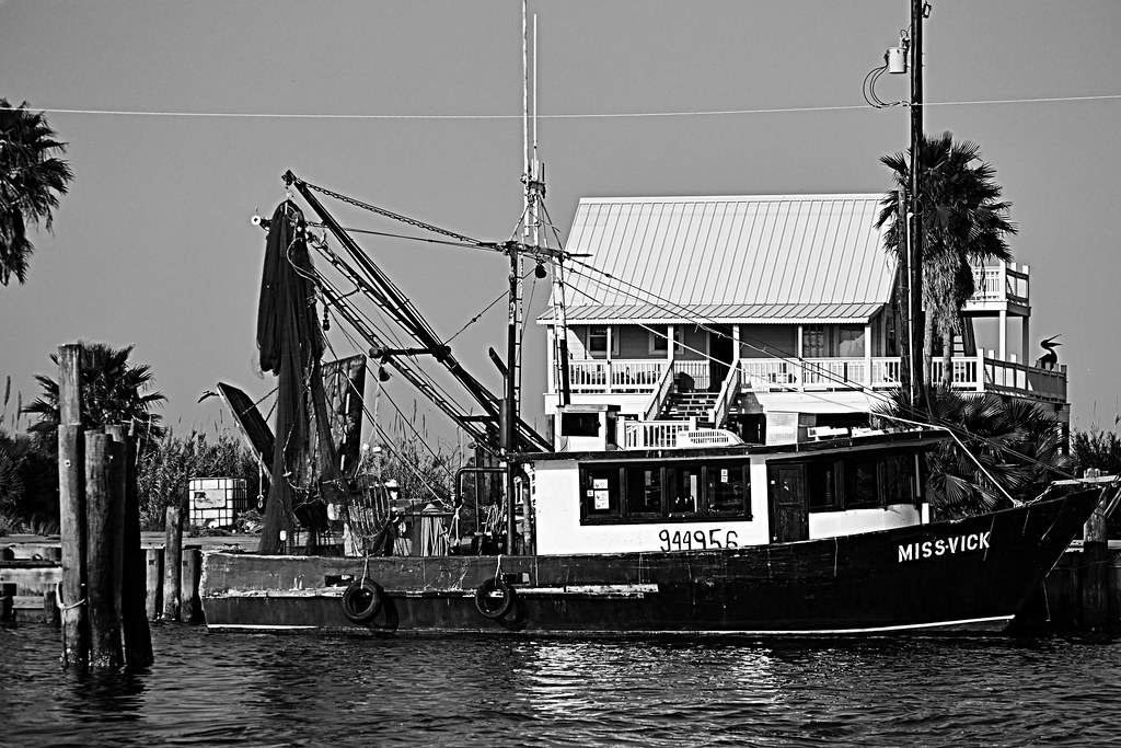 miss vick Abraham Zepeda Flickr