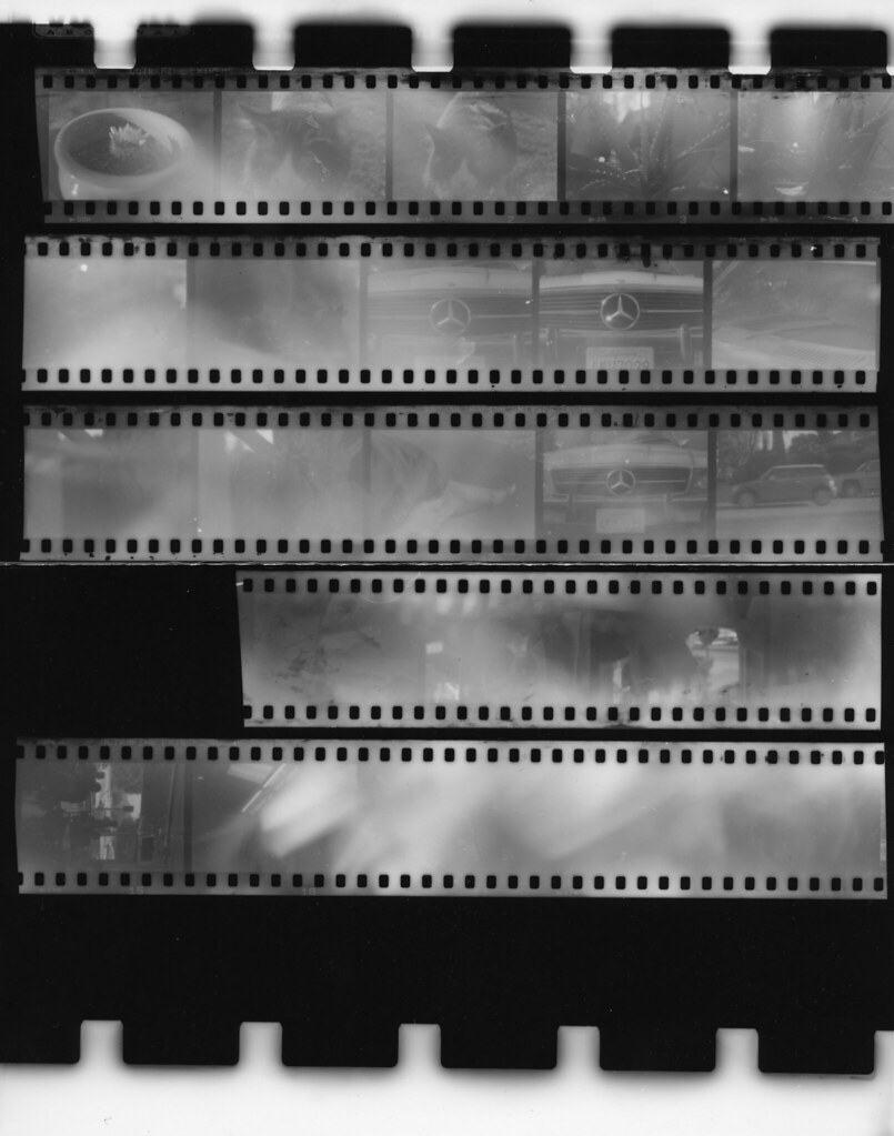 darkroom contact sheet linzalahakoon Flickr