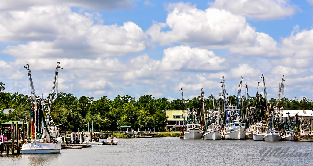 Jeremy Creek McClellanville SC Lowcountry Excursions Copyr… Flickr