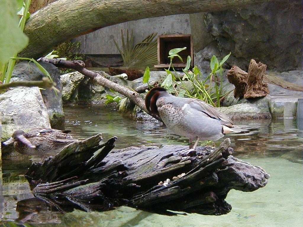 Florida Aquarium Scott Hamilton Flickr
