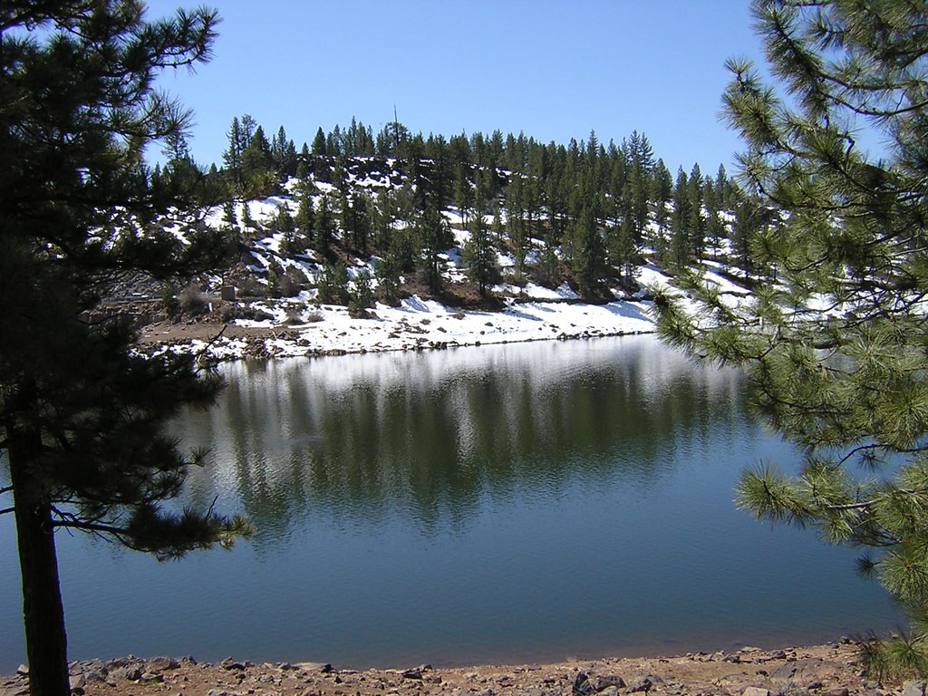 Cold Water This was taken at Frenchman Dam in California. Brave