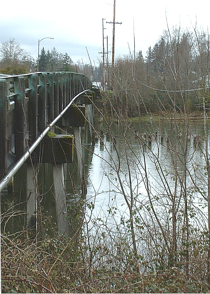 Banks of the WishKah a photo on Flickriver