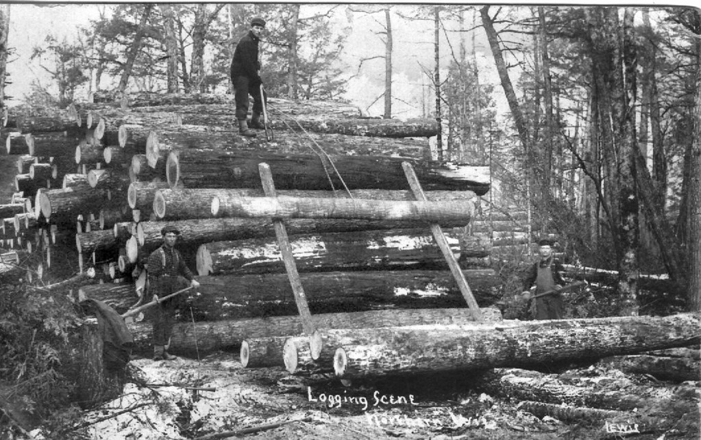 Logging Camp Northern Wisconsin Photo postcard from Fred… Flickr
