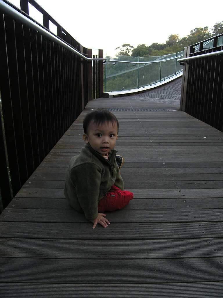 Glass Bridge King's Park Toon Ann Yeoh Flickr