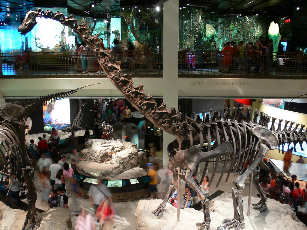 free museum day houston 2023 Free Museum Day Free museum day at the Houston Museum of N… Flickr