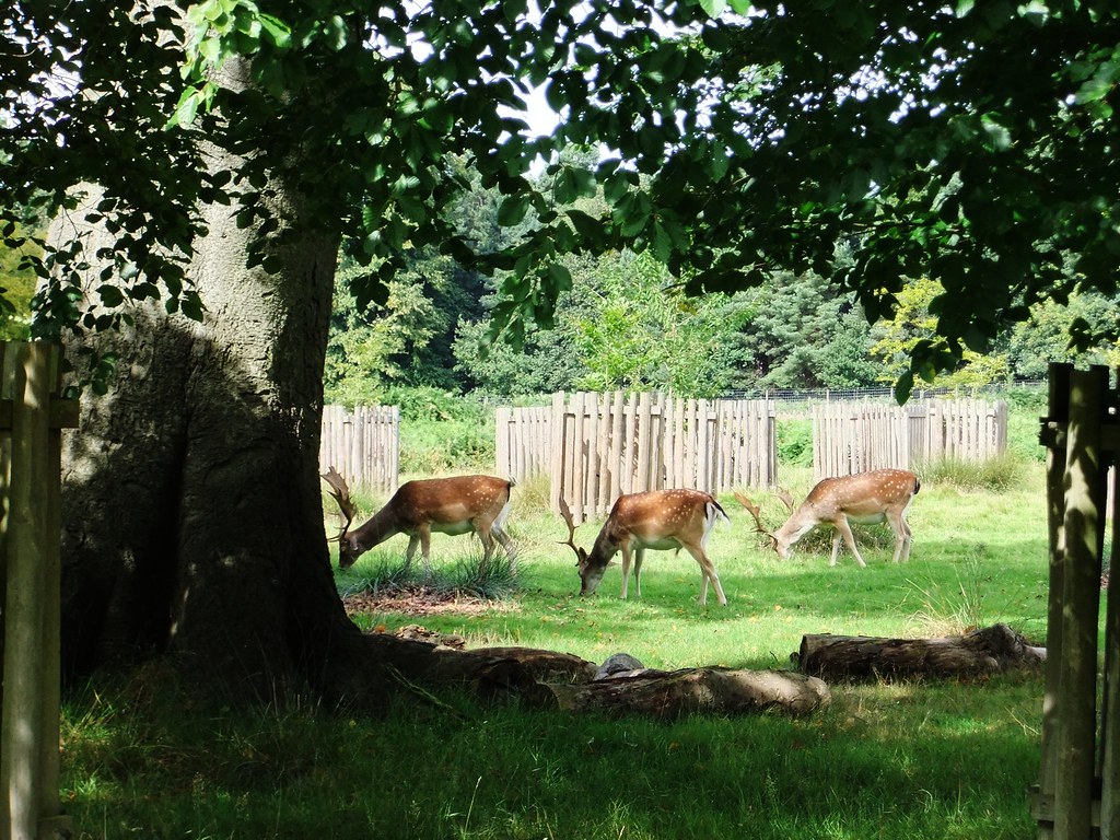 visit to dunham massey nick.gough Flickr