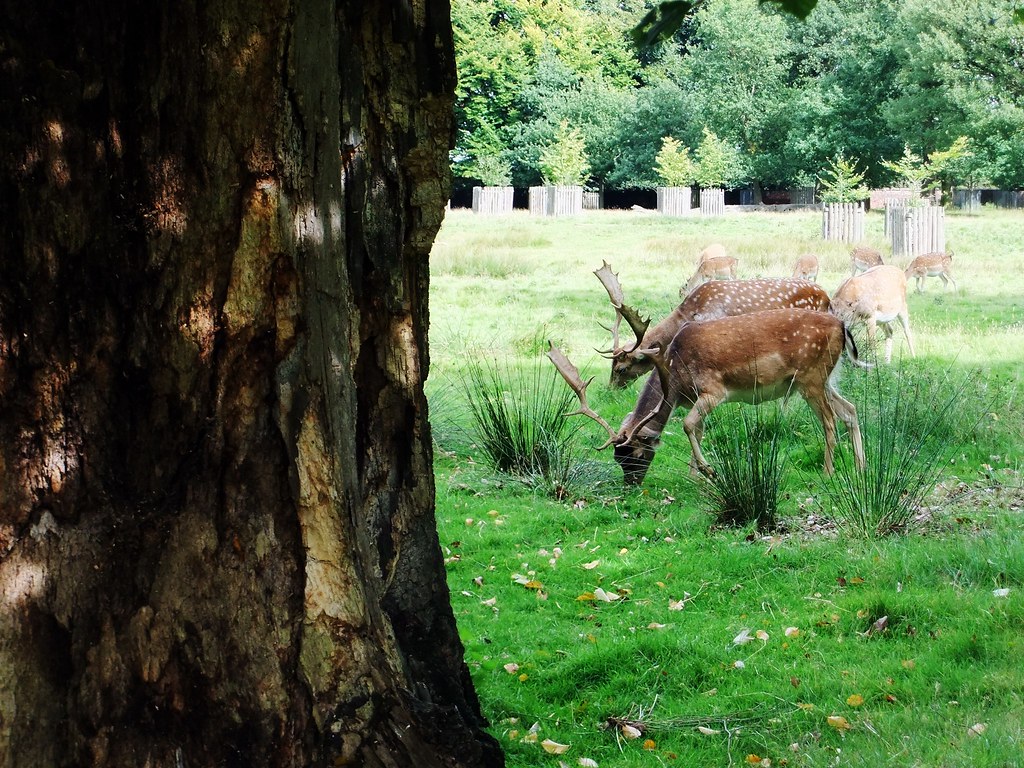 visit to dunham massey nick.gough Flickr