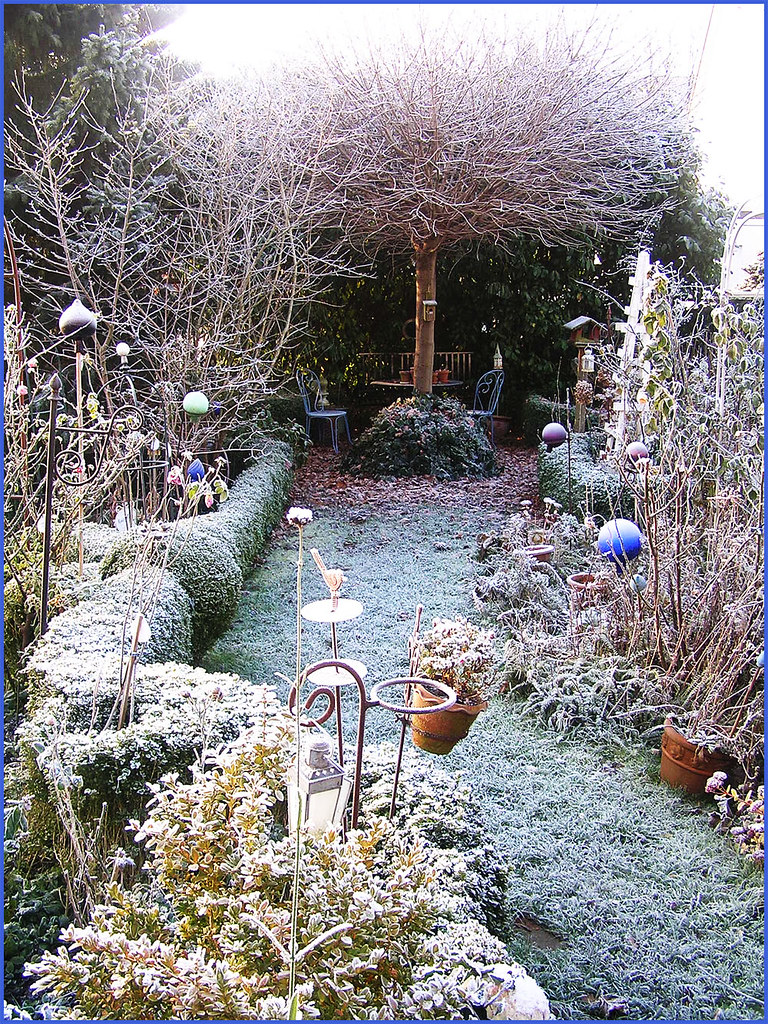 Frozen My garden is completely frozen and I wasn't even re… Flickr