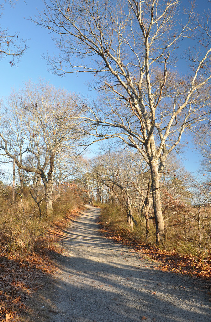 Trail, Ellisville Harbor State Park Trail in Ellisville Ha… Flickr