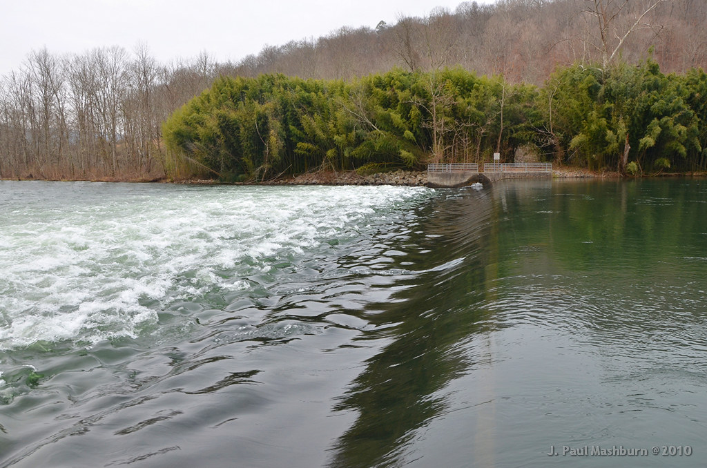 CLINCH RIVER Downstream from Norris Dam, on the Clinch Riv… Flickr