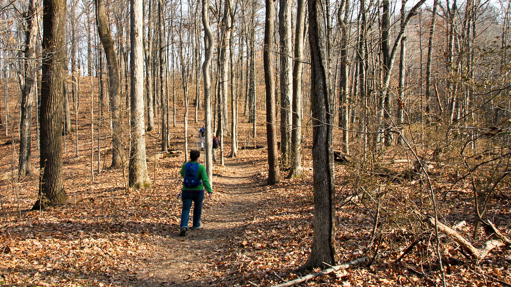 Mossy Ridge Mossy Ridge Loop Trail Michael Hicks Flickr