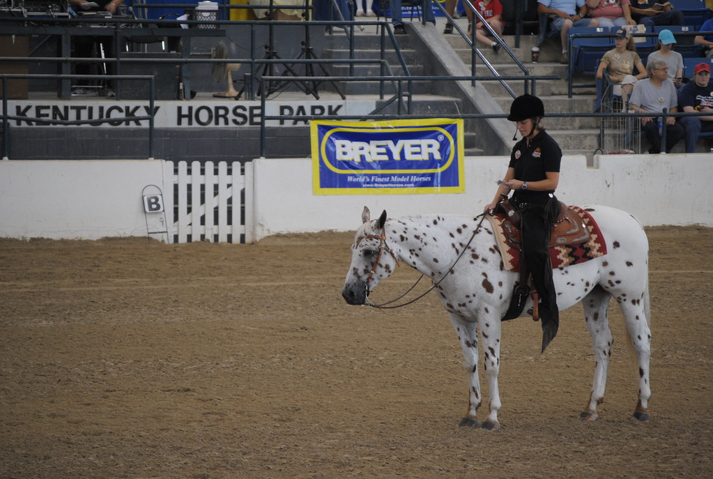 BREYERFEST KENTUCKY HORSE PARK BREYERFEST 2010 Kentucky … Flickr