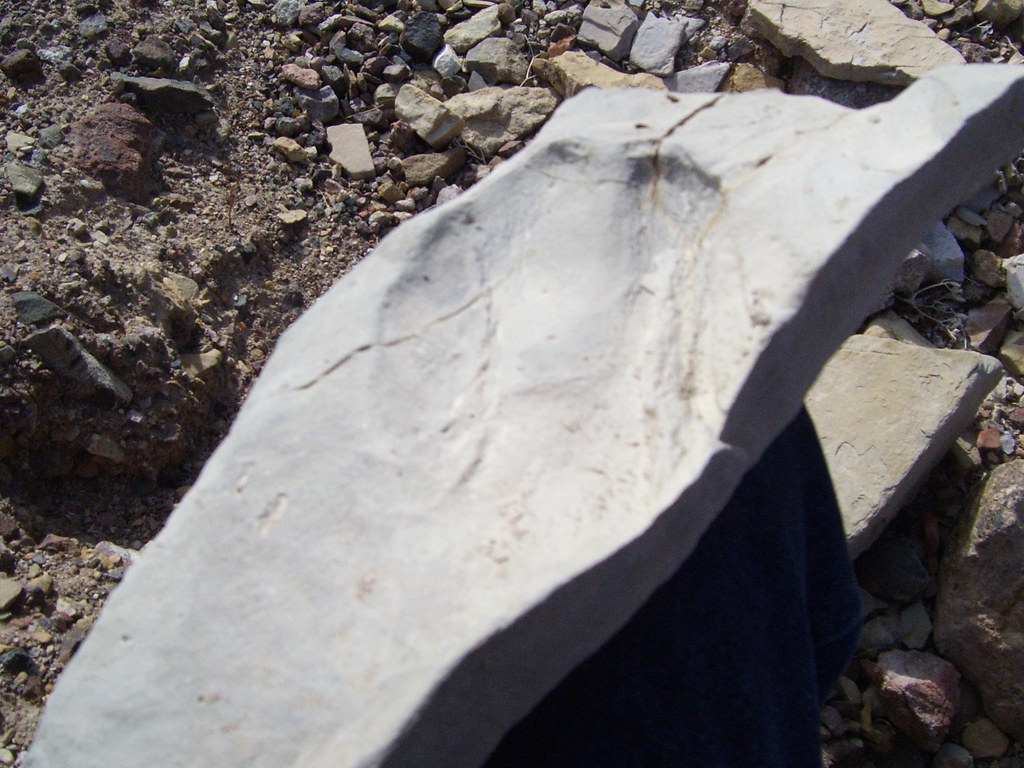 COPPER CANYON DEATH VALLEY 018 buffalolady Flickr