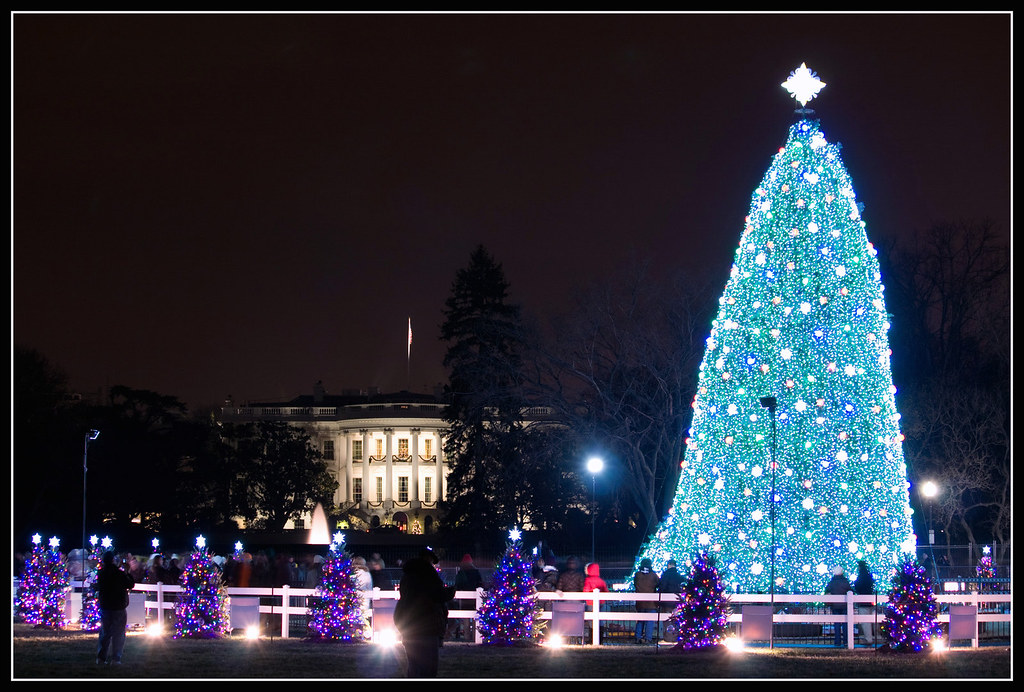 National Christmas Tree The National Christmas Tree lit up… Flickr