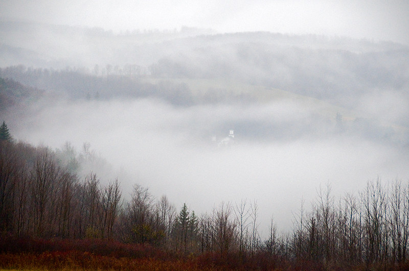 Elevation of Potter Rd, Troupsburg, NY, USA Topographic Map