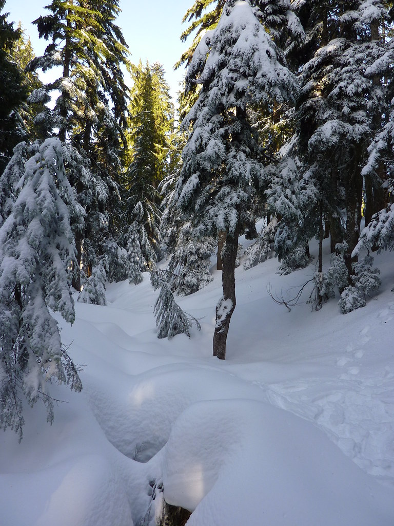 NYD Cypress snowshoe kcxd Flickr