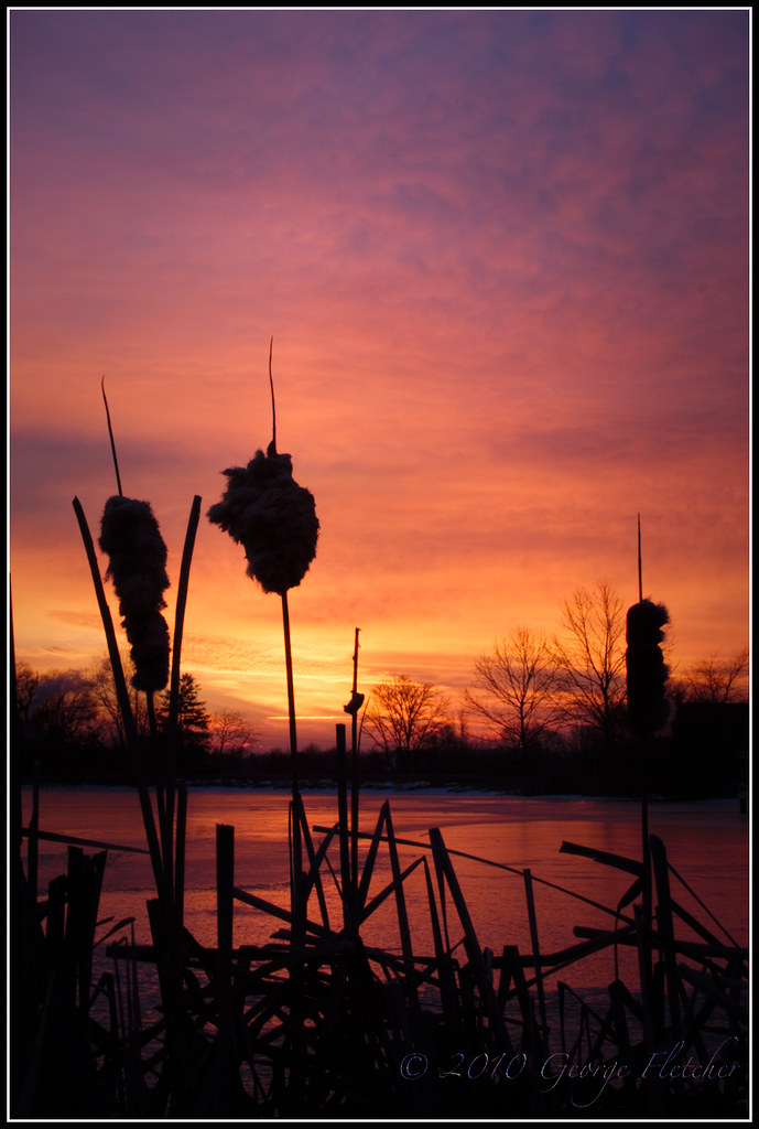Elevation of Hogback Mountain Paintball, Hogback Mountain Rd, Leesburg