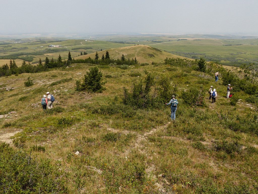 Exploring Timber Ridge, Porcupine Hills a photo on Flickriver