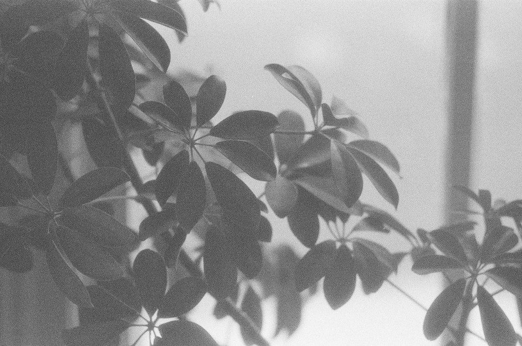 62900035 copy Kodak Recording film 2475 Aidan Ambrose Flickr