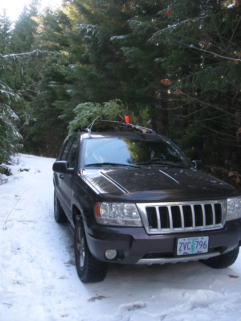 Christmas Tree 2010 Joni McFarlandJohnston Flickr