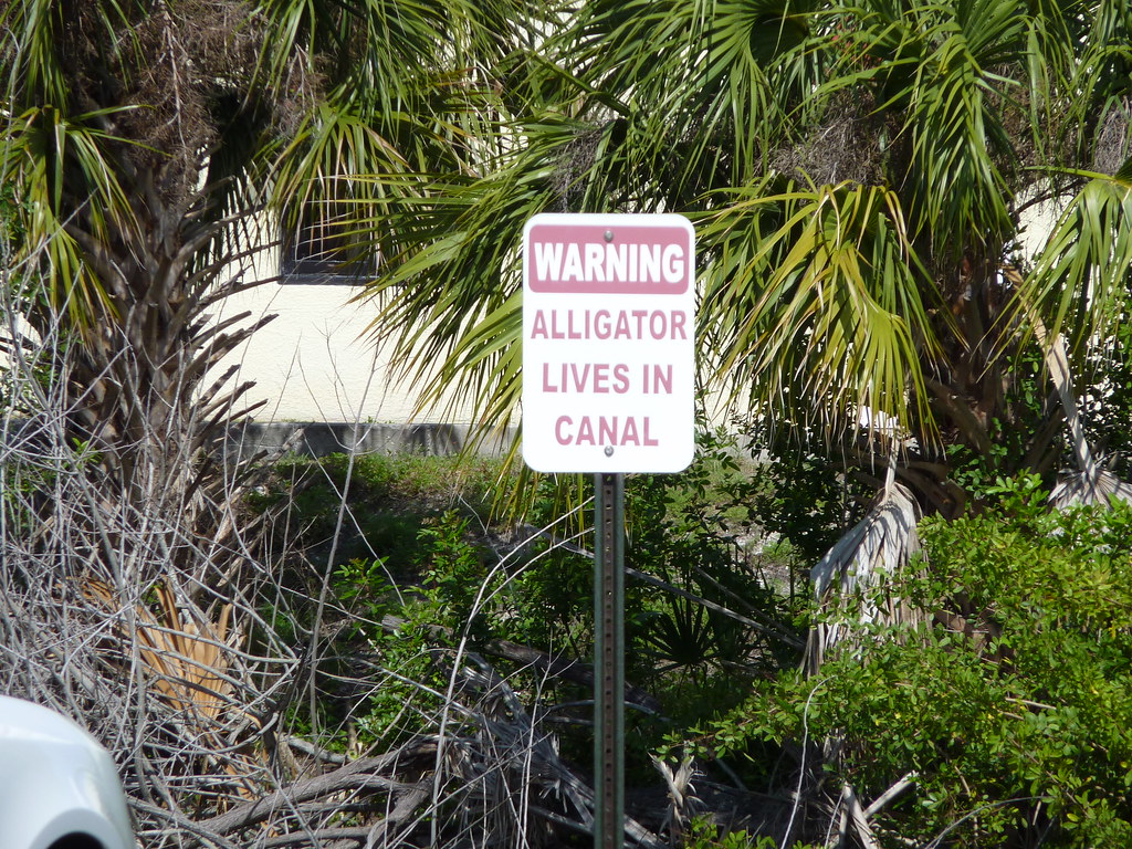 Warning When returning the rental car in cocoa beach, I ha… Flickr