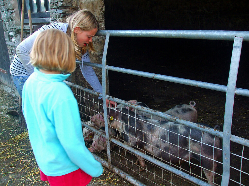 2010 08 04_Lake District22 Sophie & Emily at Holmeshead F… Flickr