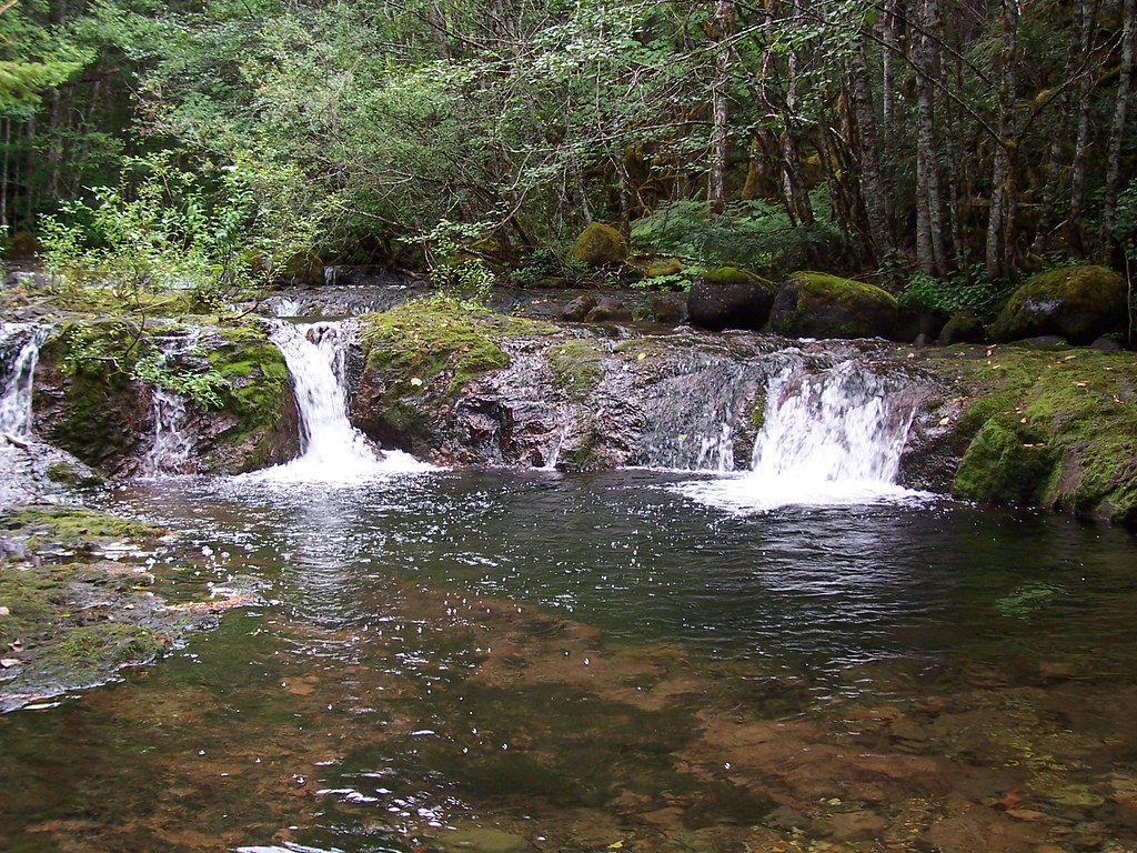 Little North Fork of Santiam RiverOregon larvalhelgramite Flickr