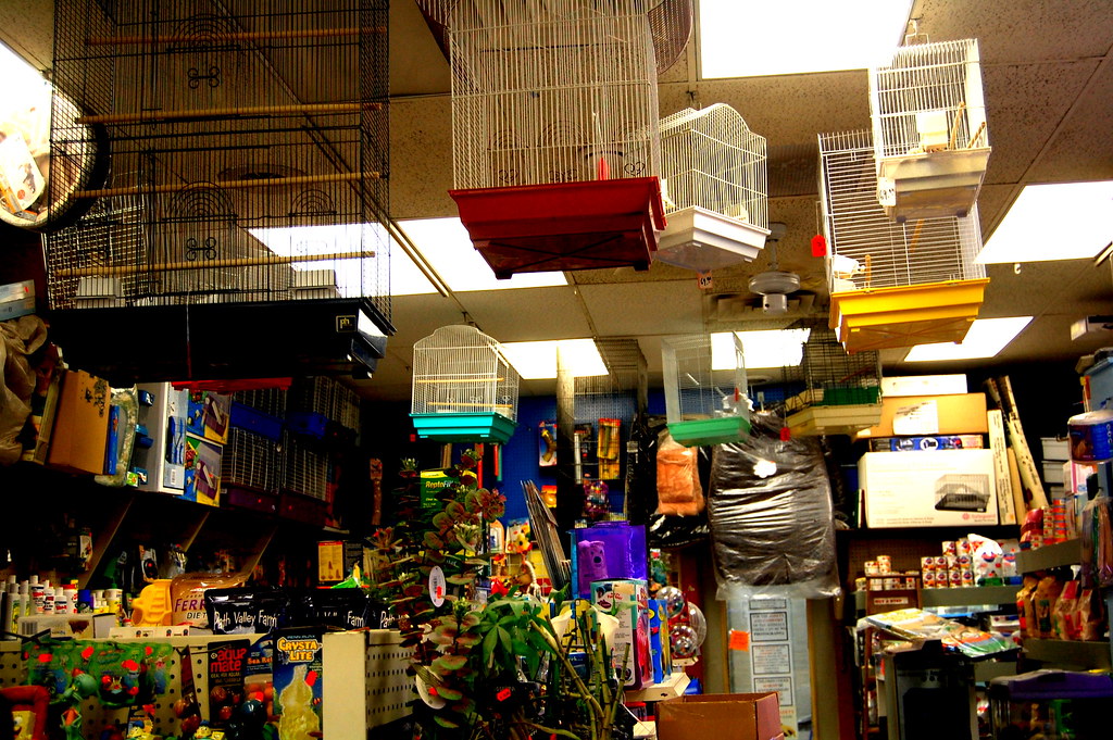53 Best Pictures Pet Store Boston / Pet Express Boston's Happiest Pet
