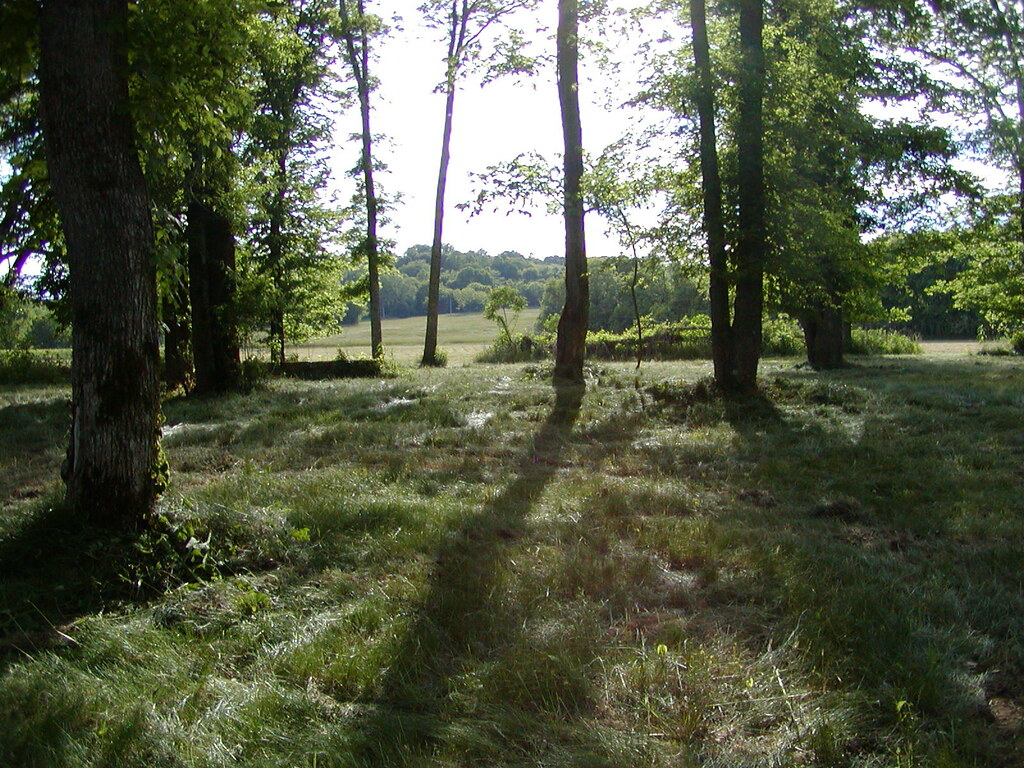 scenary32 scenary32 Yellow Creek Outfitters Flickr