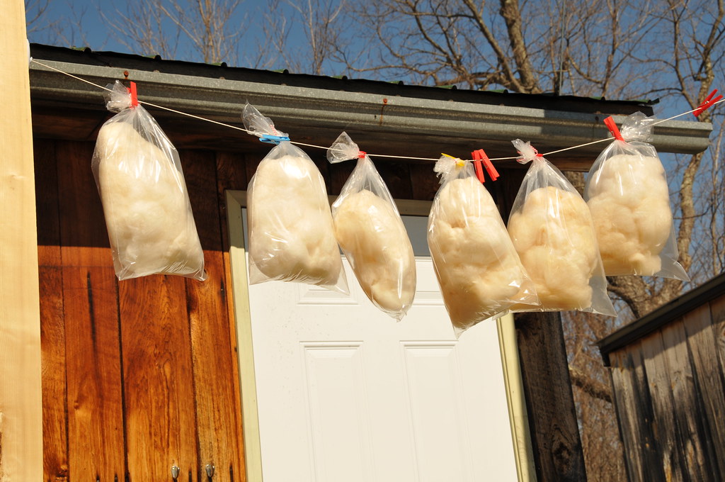 Maple Syrupflavoured Cotton Candy a photo on Flickriver