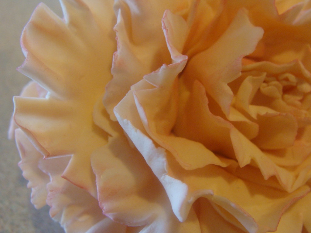 Sugar Paste Carnation This is a light pink carnation that … Flickr