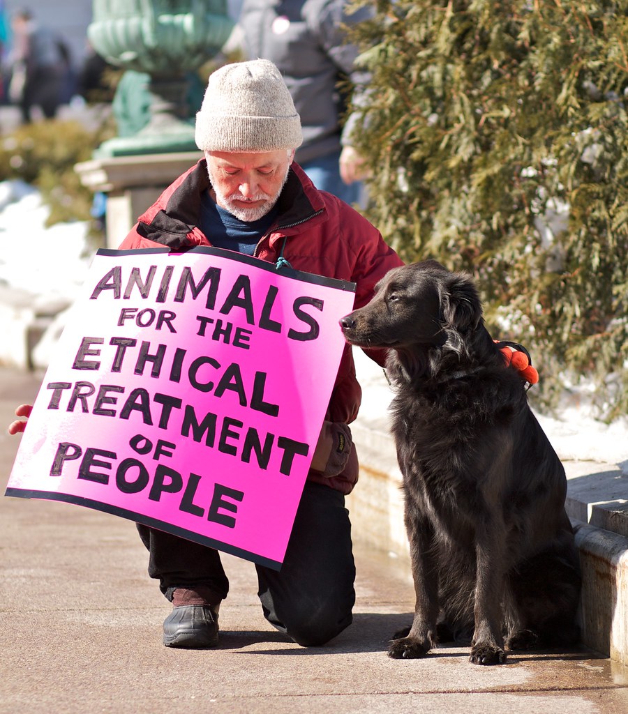 Animals for the Ethical Treatment of People Madison, Wisco… Flickr
