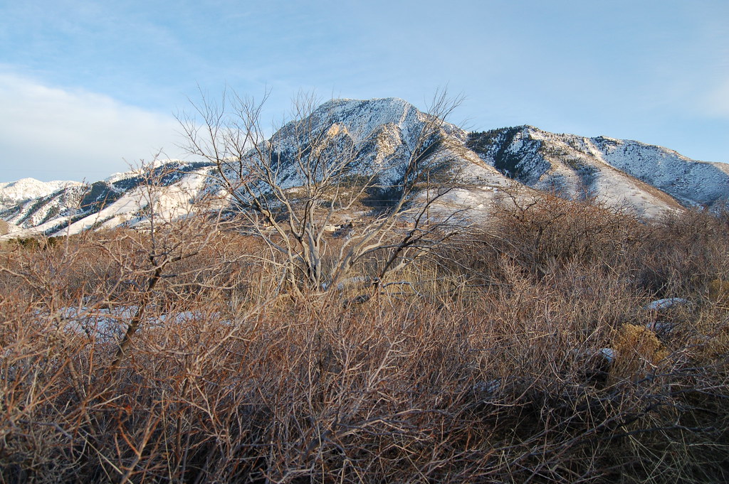 Utah's Mt. Olympus in winter Feb, 6, 2011, Mt. Olympus, Sa… Flickr